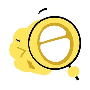 欧美一级视频下载官方版图片