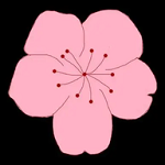 成年人视频APP应用