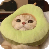 WWW,kk11kk·COM网站APPAPP应用